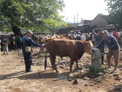 Atasi PMK, Pemkab Rembang Pastikan Stok Vaksin Tersedia 250 Dosis