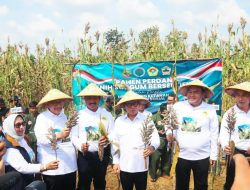 Mendes Sebut Blora Punya Potensi Besar Jadi Pusat Produksi Sorgum Nasional