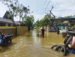 Banjir Rob di Desa Tunggulsari Belum Terselesaikan, Warga Masih Menunggu Solusi Permanen
