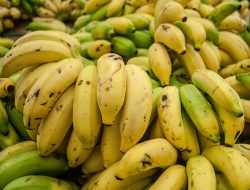Harga Pisang di Rembang Anjlok, Hanya Rp 10 Ribu per Tandan, Ini Penyebabnya
