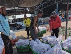 Konsumsi Ikan Jateng Naik, Pemprov Perkuat Ekosistem Perikanan