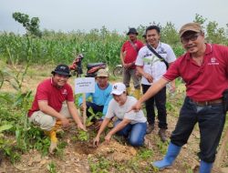 Perhutani KPH Pati Gelar Penanaman Jati di Guyangan