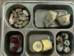 Menu MBG di SDN 1 Sidomulyo Ditolak Wali Murid dan Siswa, Sekolah dan SPPG Beri Penjelasan