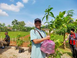 Wujudkan Program Ekoteologi, Kemenag Pati Tanam Seribu Pohon