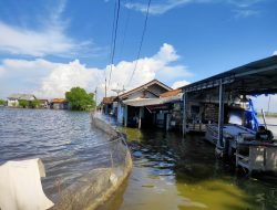 Sepekan Lebih Terendam, Aktivitas Warga Tunggulsari Lumpuh