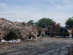 Produksi Sampah Jepara Capai 479 Ton per Hari, Ini Kecamatan Penyumbang Terbanyak