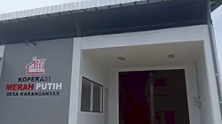 Puluhan Kopdes Merah Putih Terlanjur Dibangun di Sawah