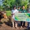 Tebar Kepedulian saat Iduladha, Eva Monalisa Salurkan Sapi Kurban di Blora dan Pati