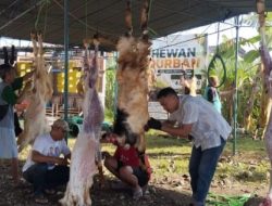 Pengawasan Diperketat, Hewan Kurban di Kudus Nihil Penyakit