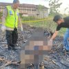 Tragis, Petani Pati Meninggal Terjebak Kobaran Api Saat Bakar Daun Tebu