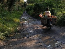 Jalan Kepoh–Balong Rusak Parah, Warga Minta Pemkab Blora Segera Bertindak