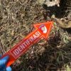 Polres Rembang Ungkap Misteri Kerangka Manusia di Hutan, Ternyata Lansia yang Hilang