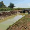 Cegah Banjir, BBWS Pemali Juana Benahi Irigasi di Desa Kejawan