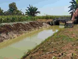 Cegah Banjir, BBWS Pemali Juana Benahi Irigasi di Desa Kejawan