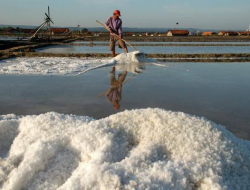 Produksi Garam Pati Terbanyak di Jawa Tengah, Capai 211 Ribu Ton
