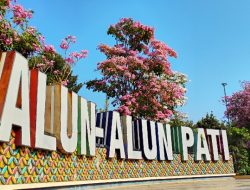 Tabebuya Mekar Cantik di Alun-Alun Pati, Warga Bisa Dapat Bibit Gratis